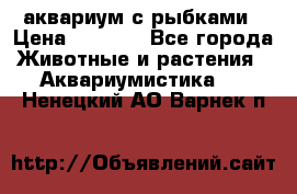 аквариум с рыбками › Цена ­ 1 000 - Все города Животные и растения » Аквариумистика   . Ненецкий АО,Варнек п.